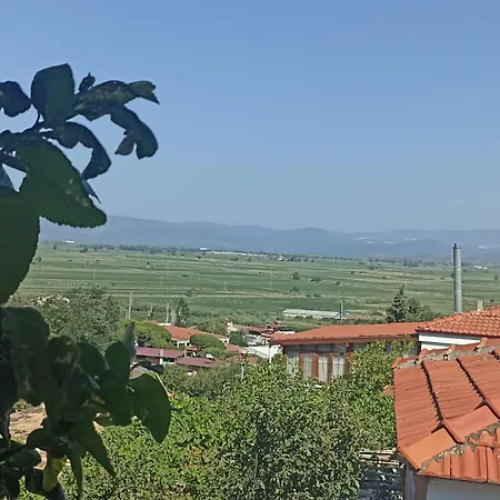 Priene Soke