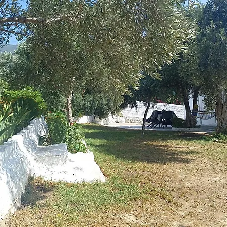 Priene