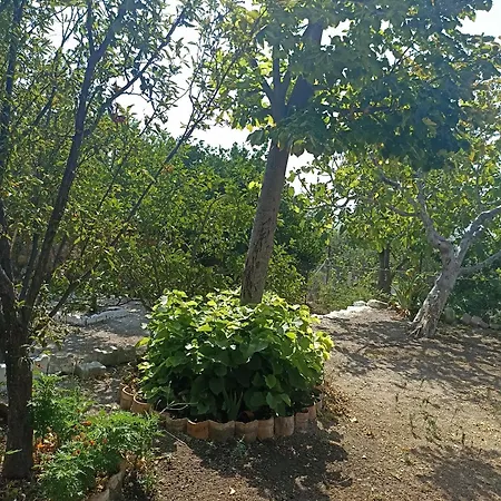 Holiday home Priene Soke