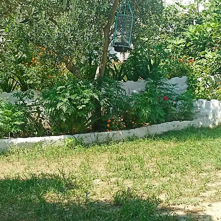 Priene Soke