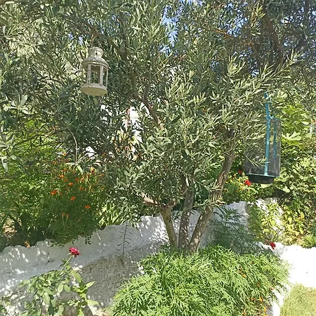 Priene Soke